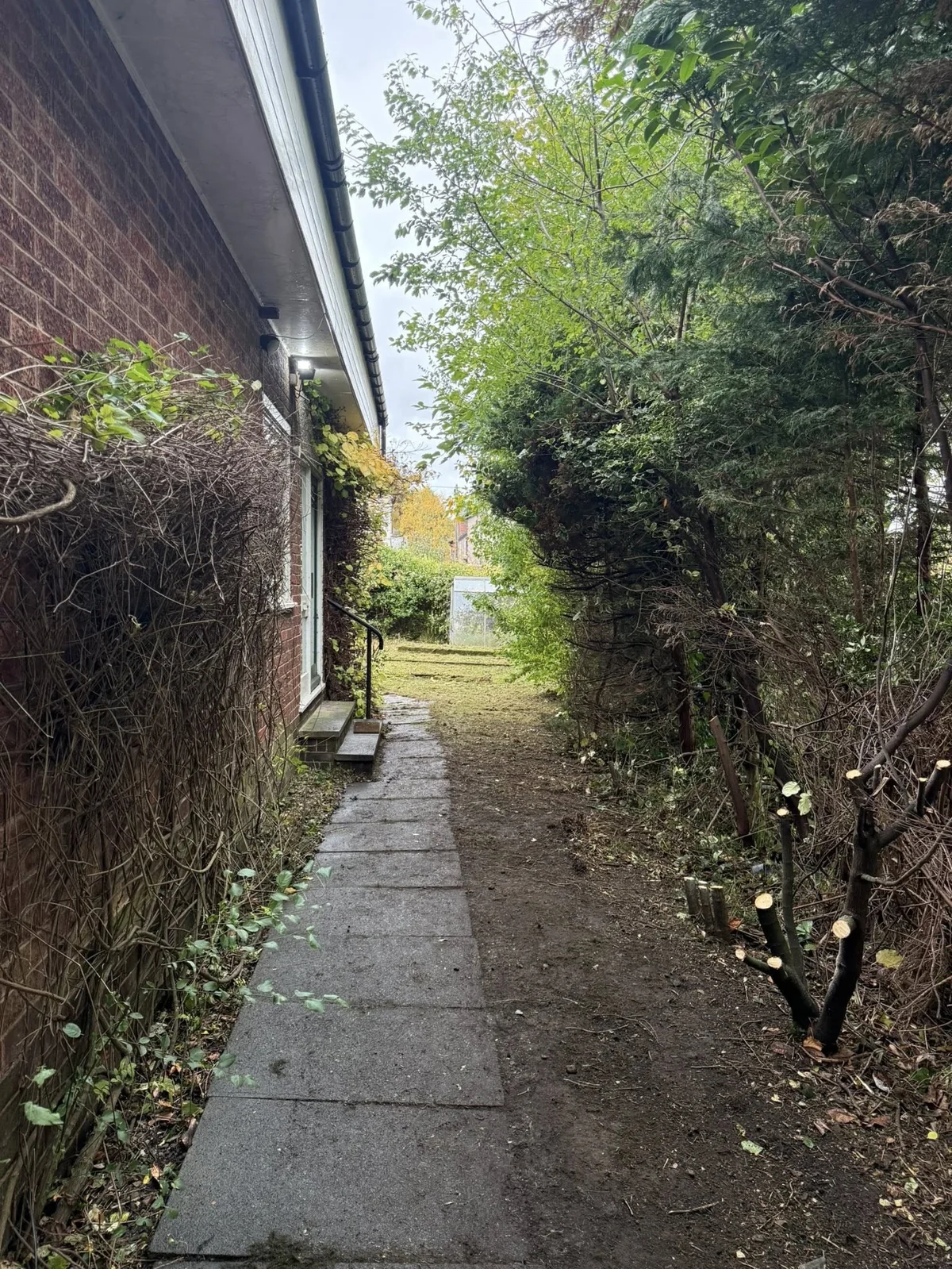 Cleared garden pathway after JKS clearance