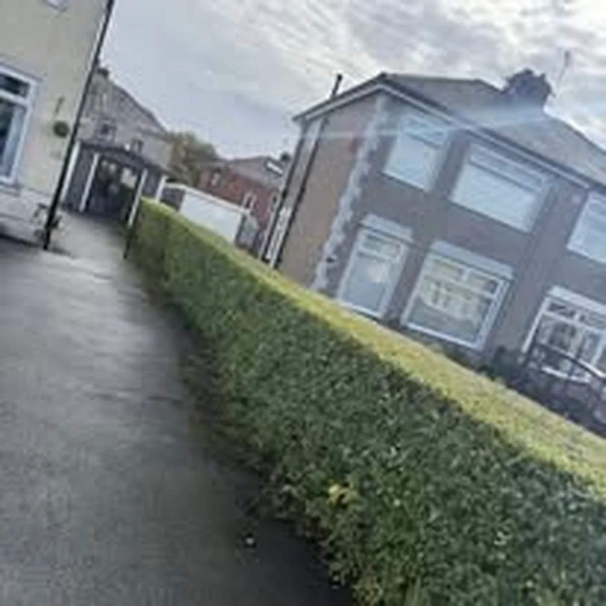 Front hedge professionally trimmed