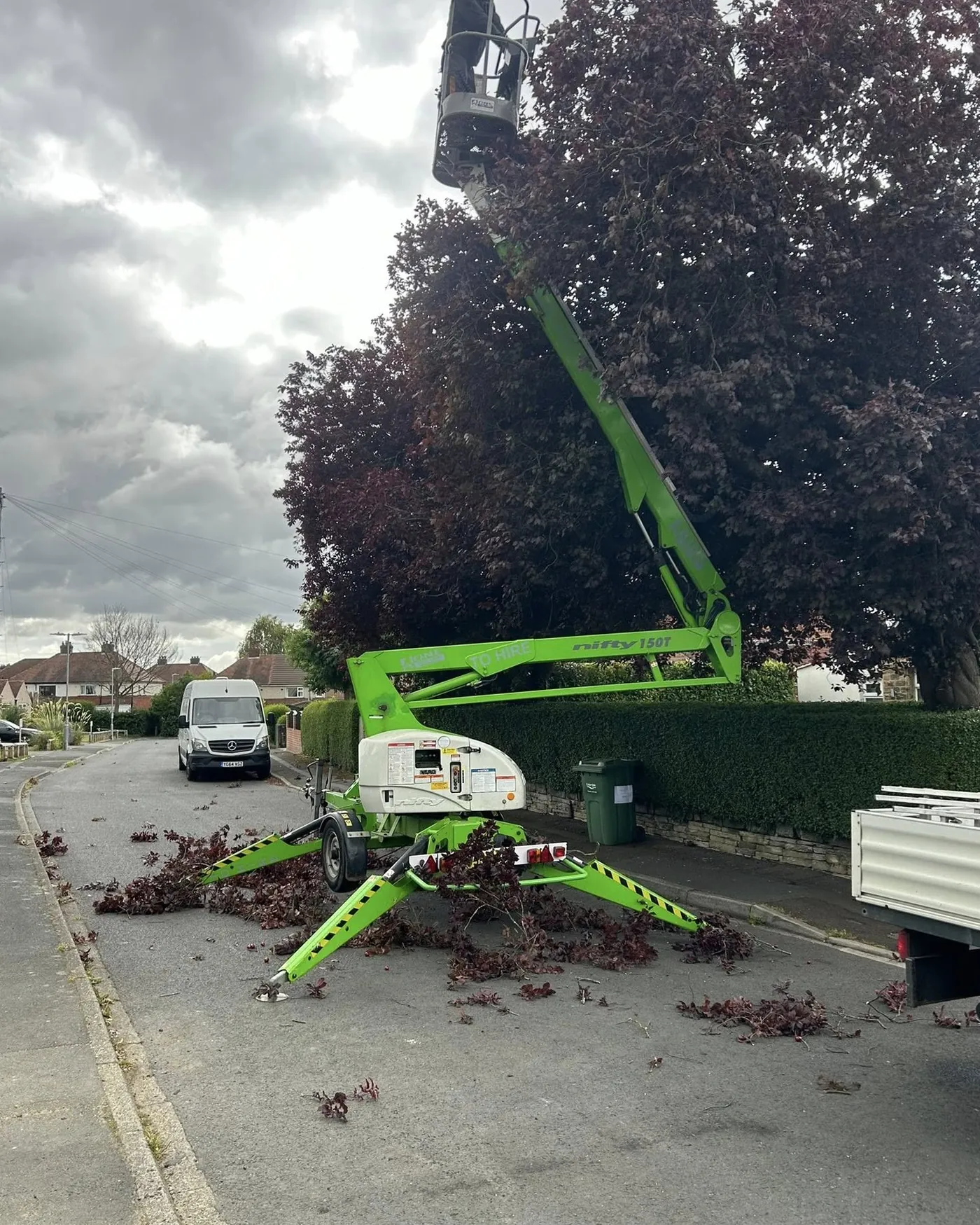 Cherry picker tree reduction in Bradford