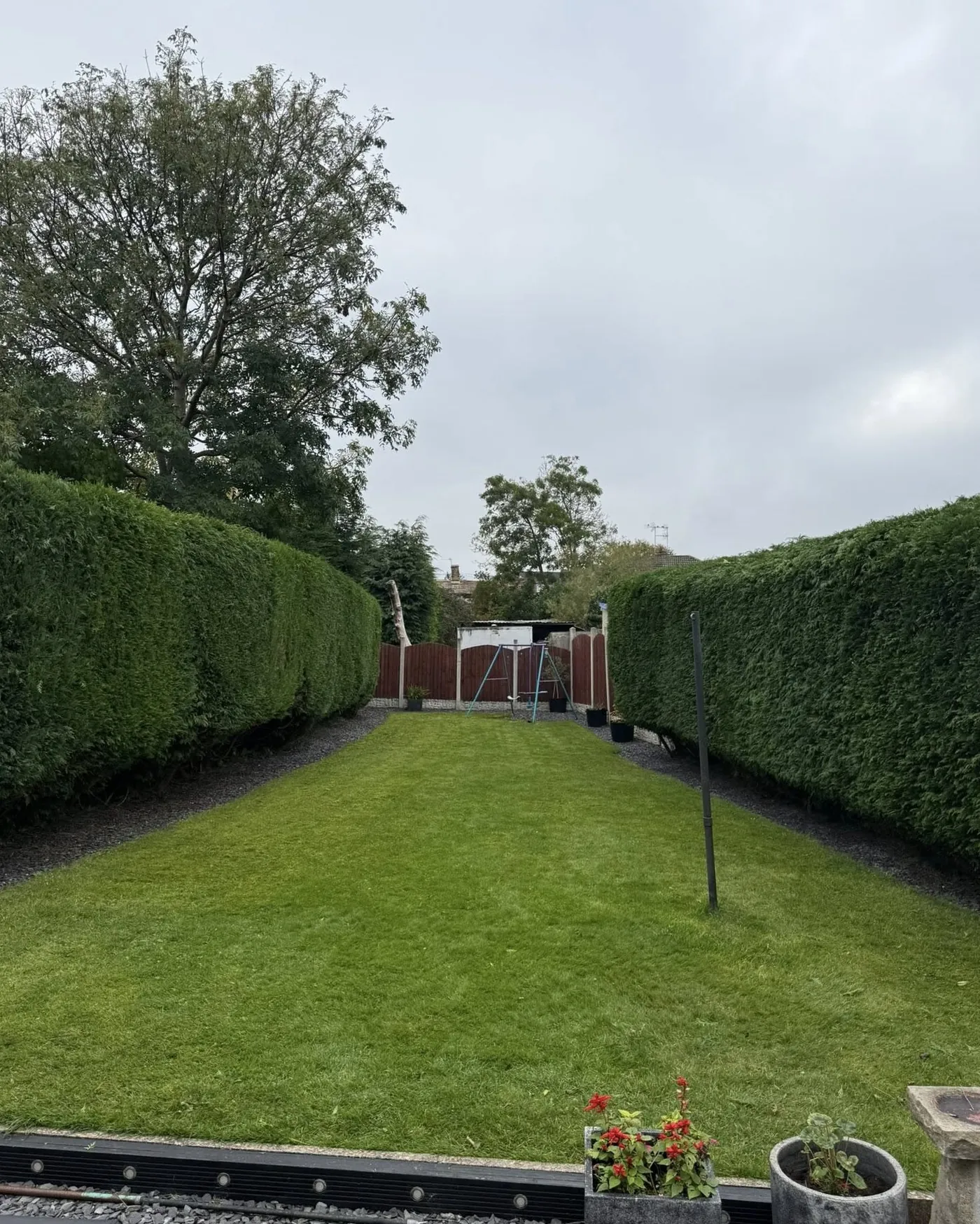 Hedge-lined back garden