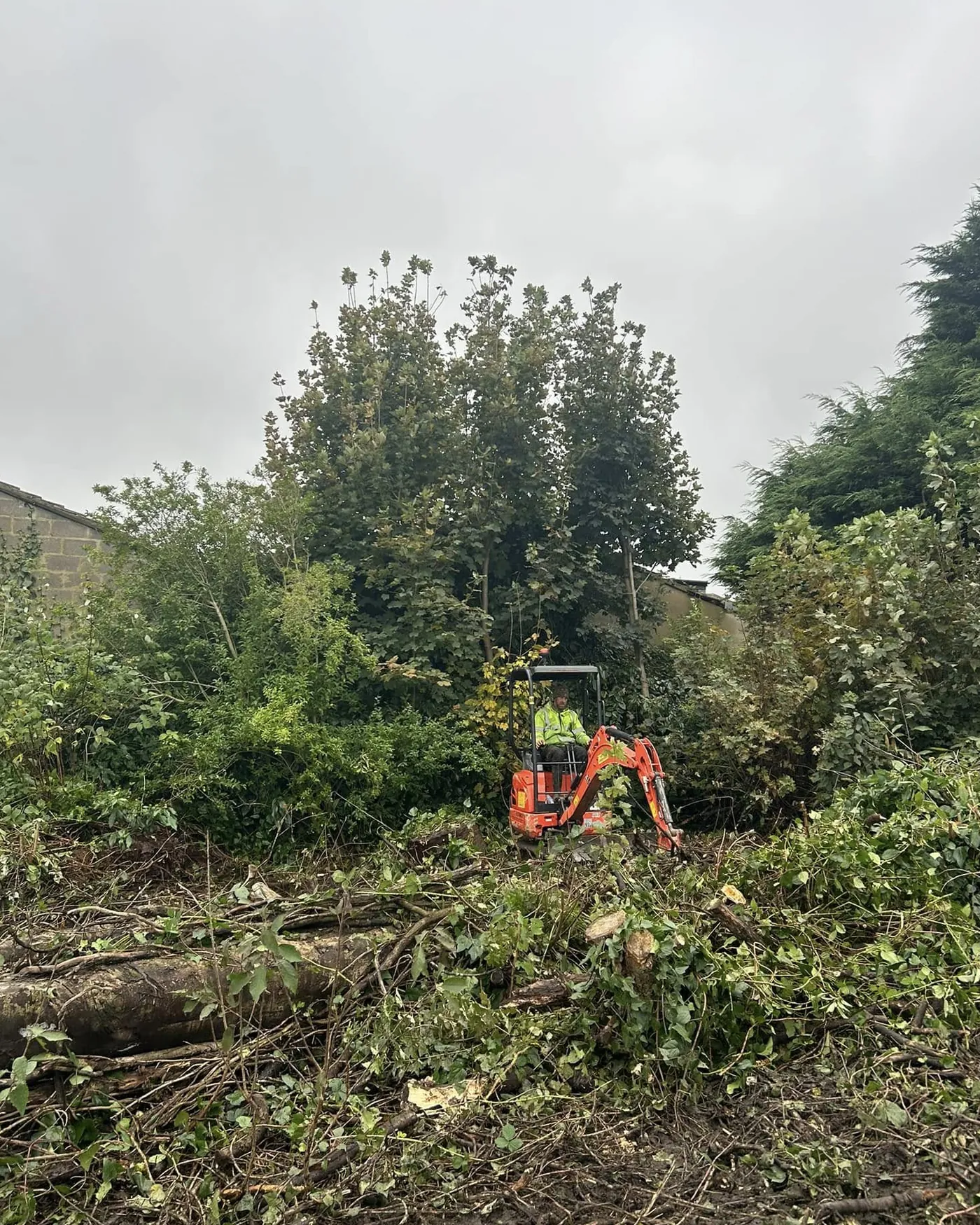 Mini excavator land clearance